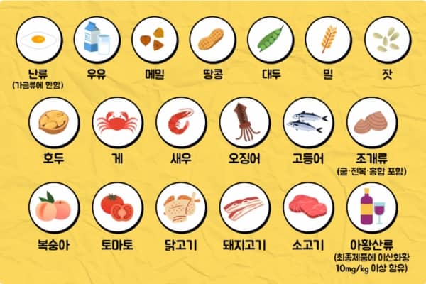 식품알레르기