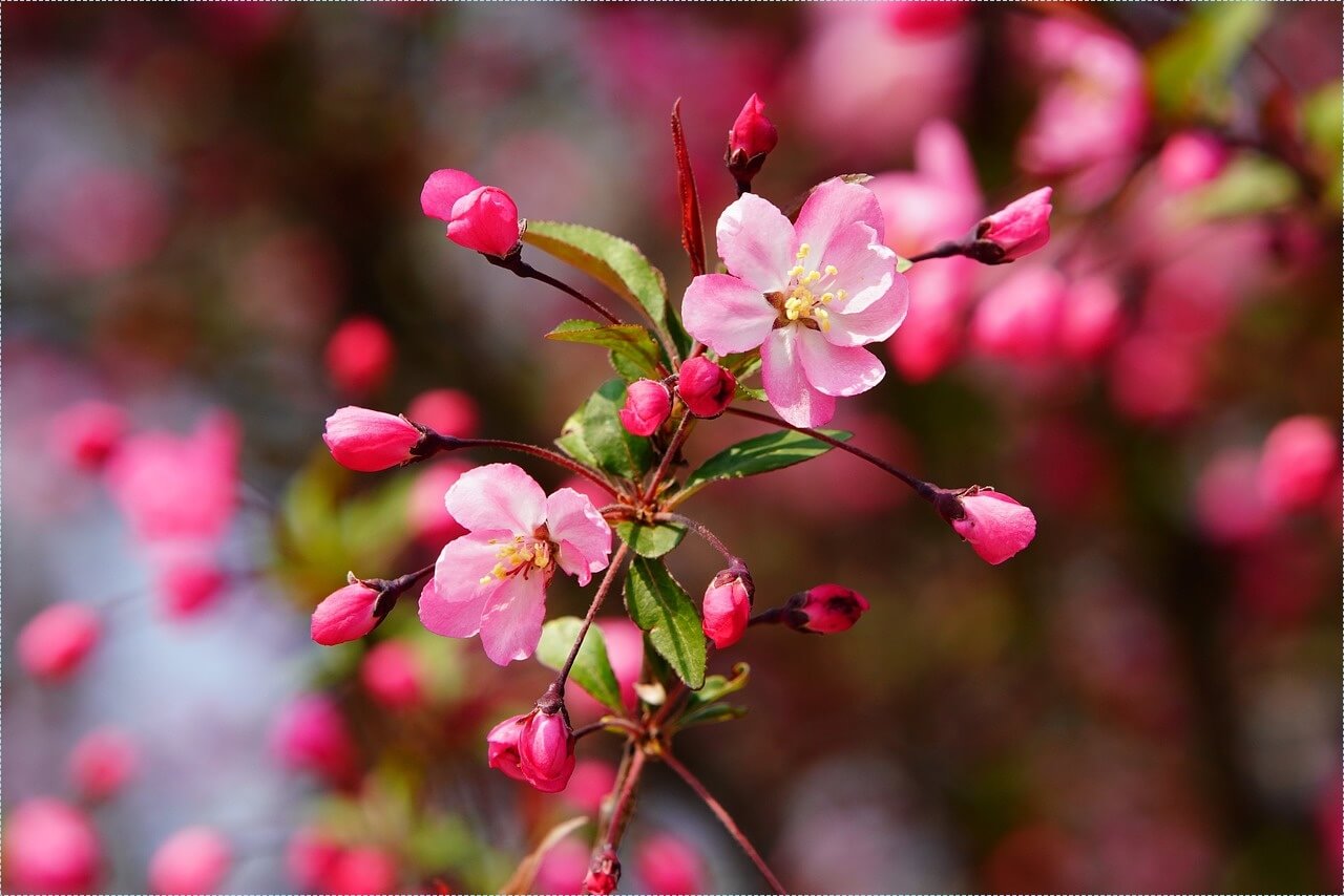 적금 이율 높은 은행