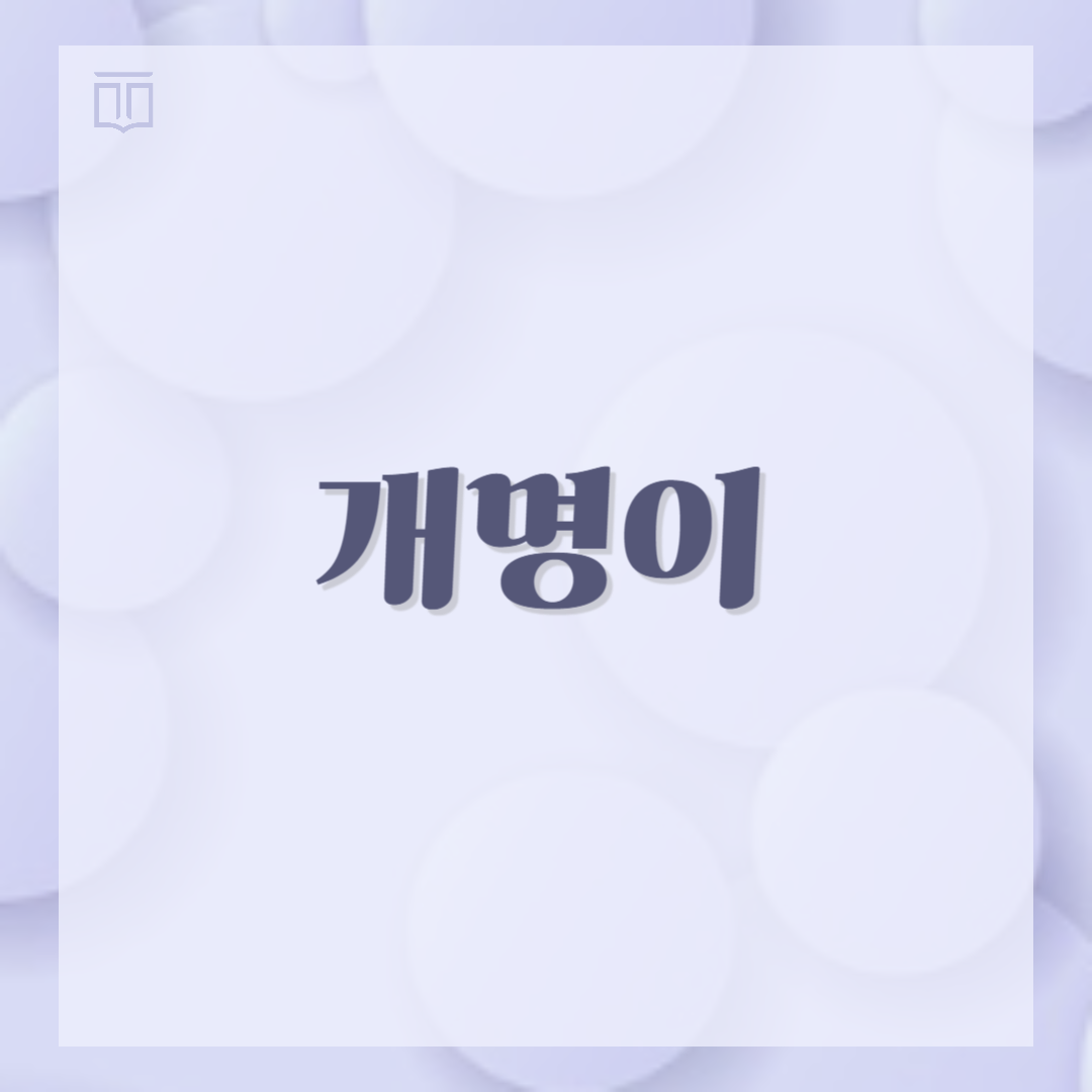 성인개명-진행하는-절차