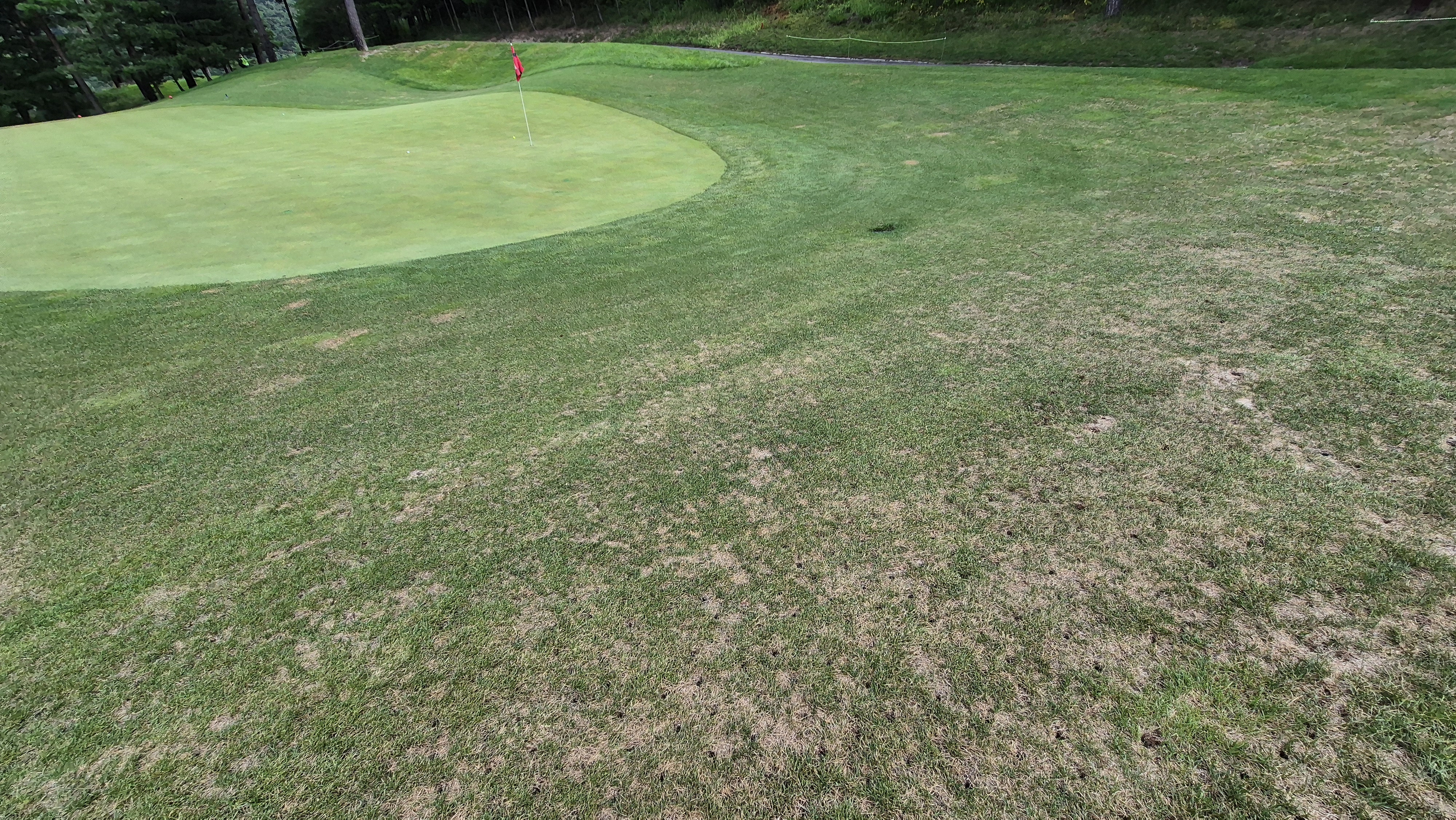 센테리움cc 스코틀랜드-웨일즈 코스 라운드 후기