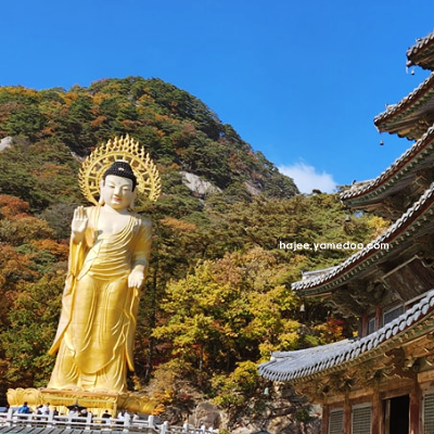 보은 가볼만한곳 베스트10