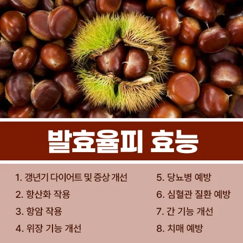발효율피 효능