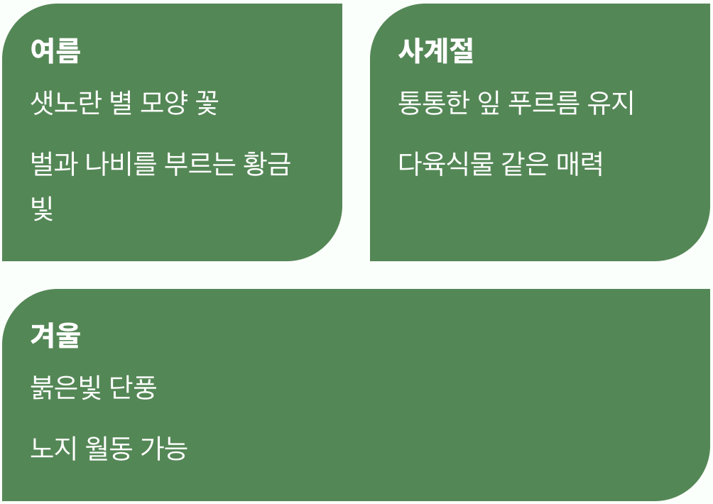 사계절 내내 즐거운 이유