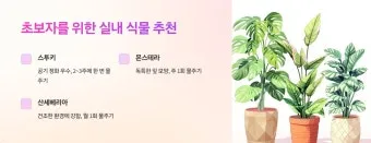 실내식물 초보 체크리스트 물주기 빛 습도 분갈이 한눈에 정리_11