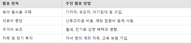 지원금 활용 팁 요점 정리