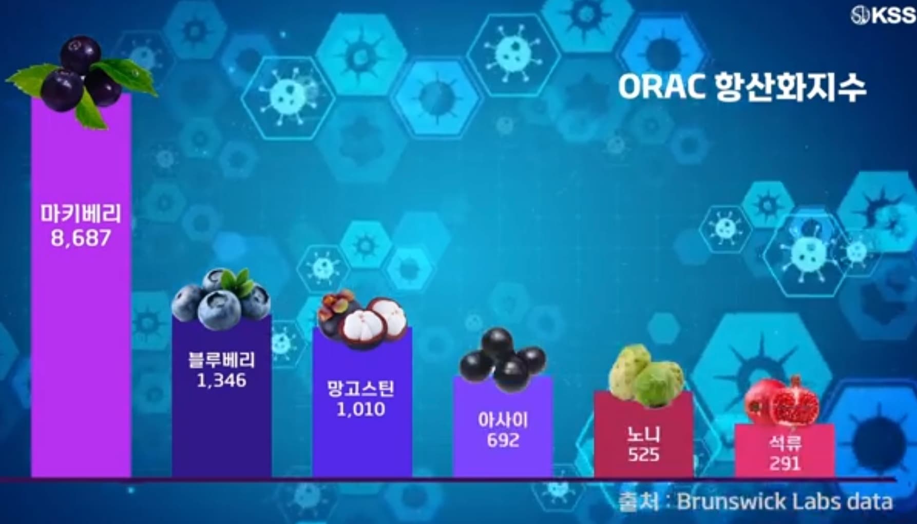항산화지수