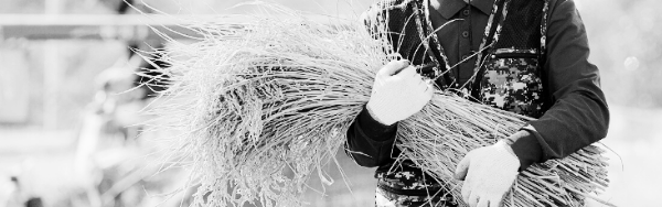 농업연금 특징: ③ 영농 또는 임대 소득 확보