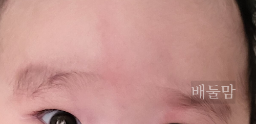 미간 연어반 사진.