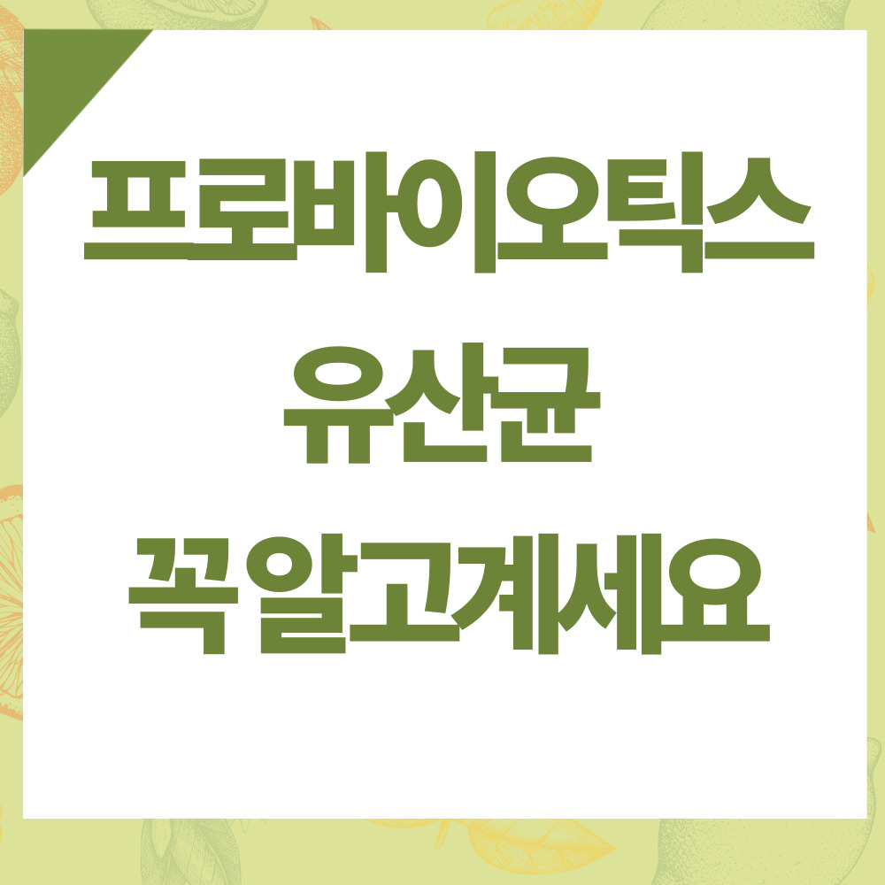 프로바이오틱스유산균/