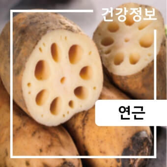장수식품 연근