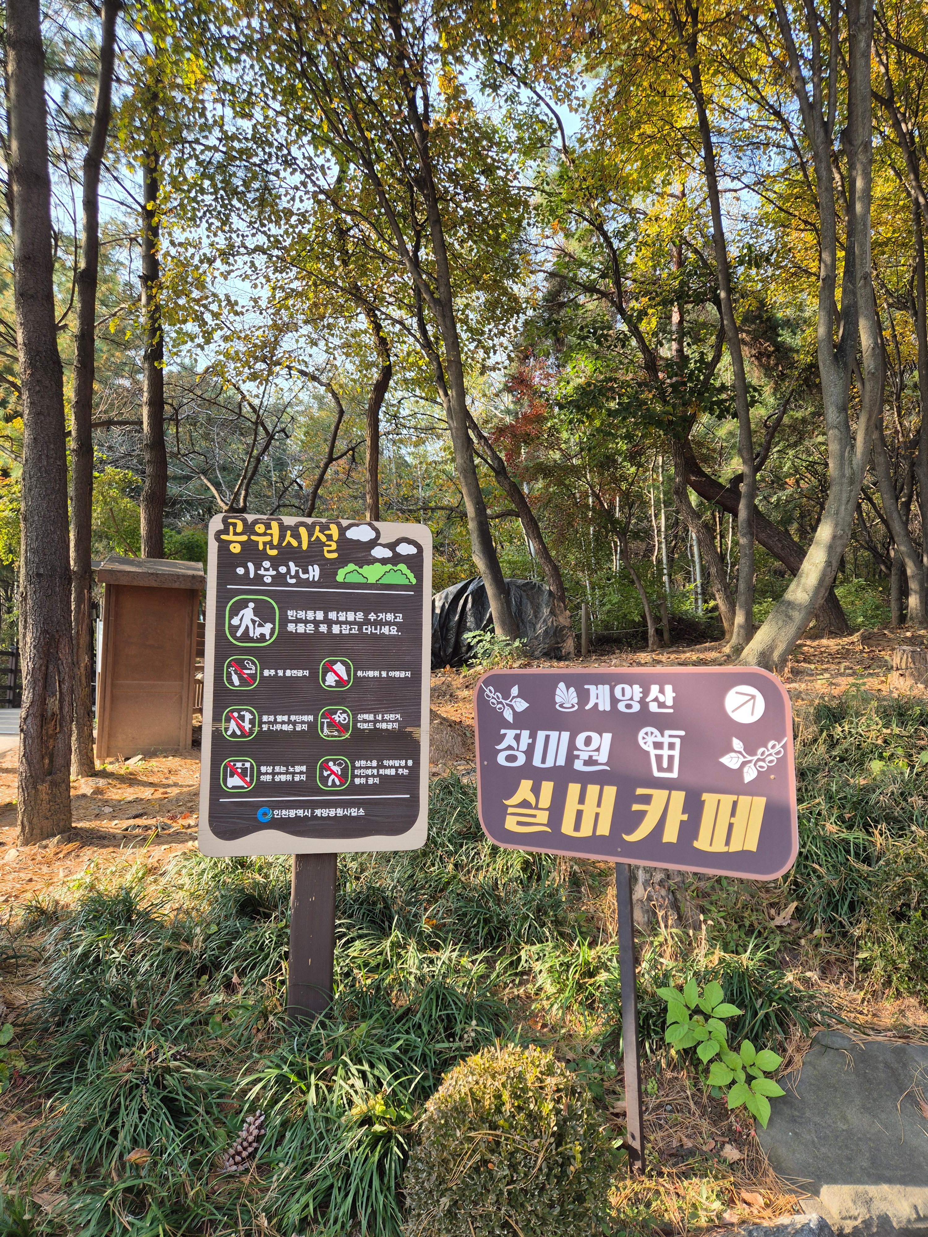 계양산 인천둘레길 내려오는 길