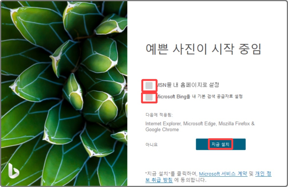 무료 배경화면 다운