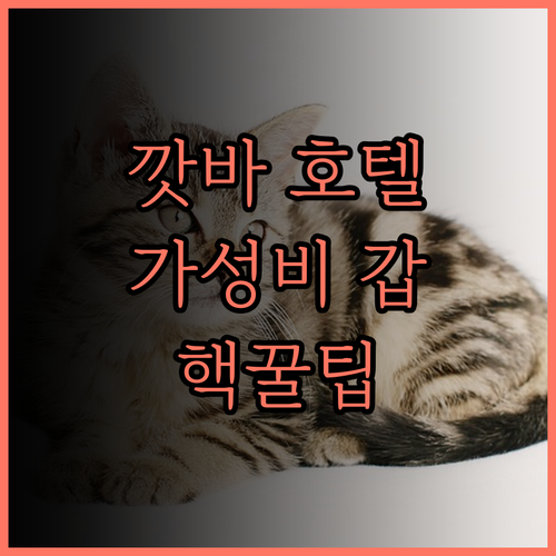 깟바 아일랜드 호텔.. 가성비 최고!