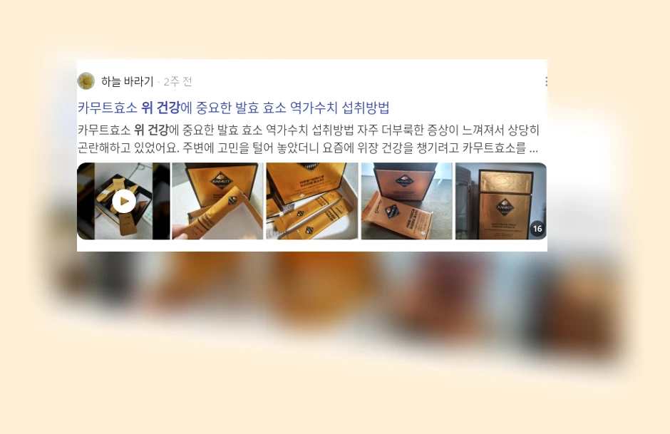 위 건강_2_subsection