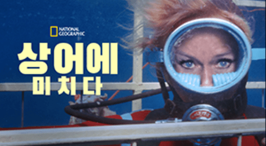 디즈니플러스 가격