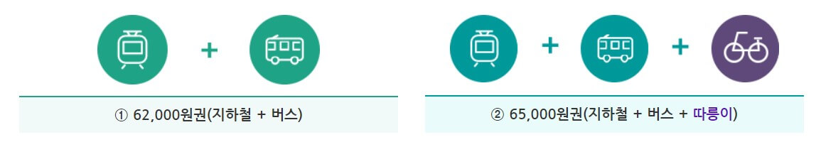 기후동행카드 종류(출처:서울시)