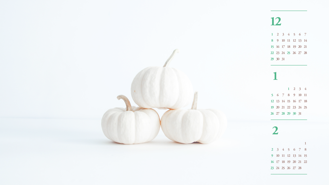 07 하얀색 호박 B - 2025년1월 노트북배경화면