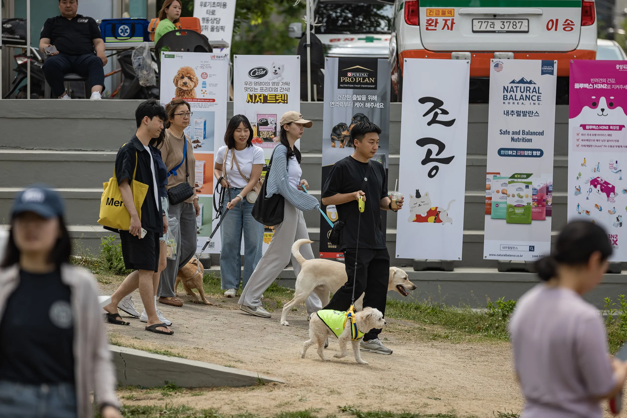 반함 축제 위치