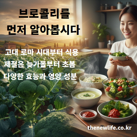 브로콜리의 역사와 제철 정보를 설명하기 위한 인포그래픽 이미지. 고대 로마 시대부터 재배된 배경과 늦가을~초봄 제철 정보 및 요리 활용법 안내