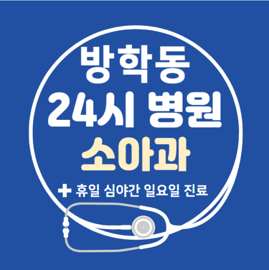 도봉구-방학동-24시간-병원-소아과-토요일-야간-일요일-진료-당직병원-찾기