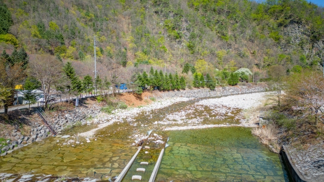 가평 : 밤나무숲 캠핑장 (애견동반가능)