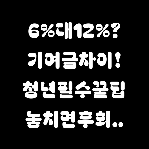 청년미래적금 정부 기여금 6%와 12..