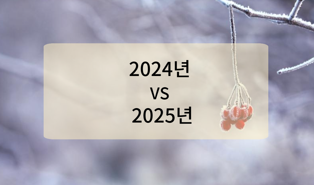 2024년과 2025년 1월 날씨 비교