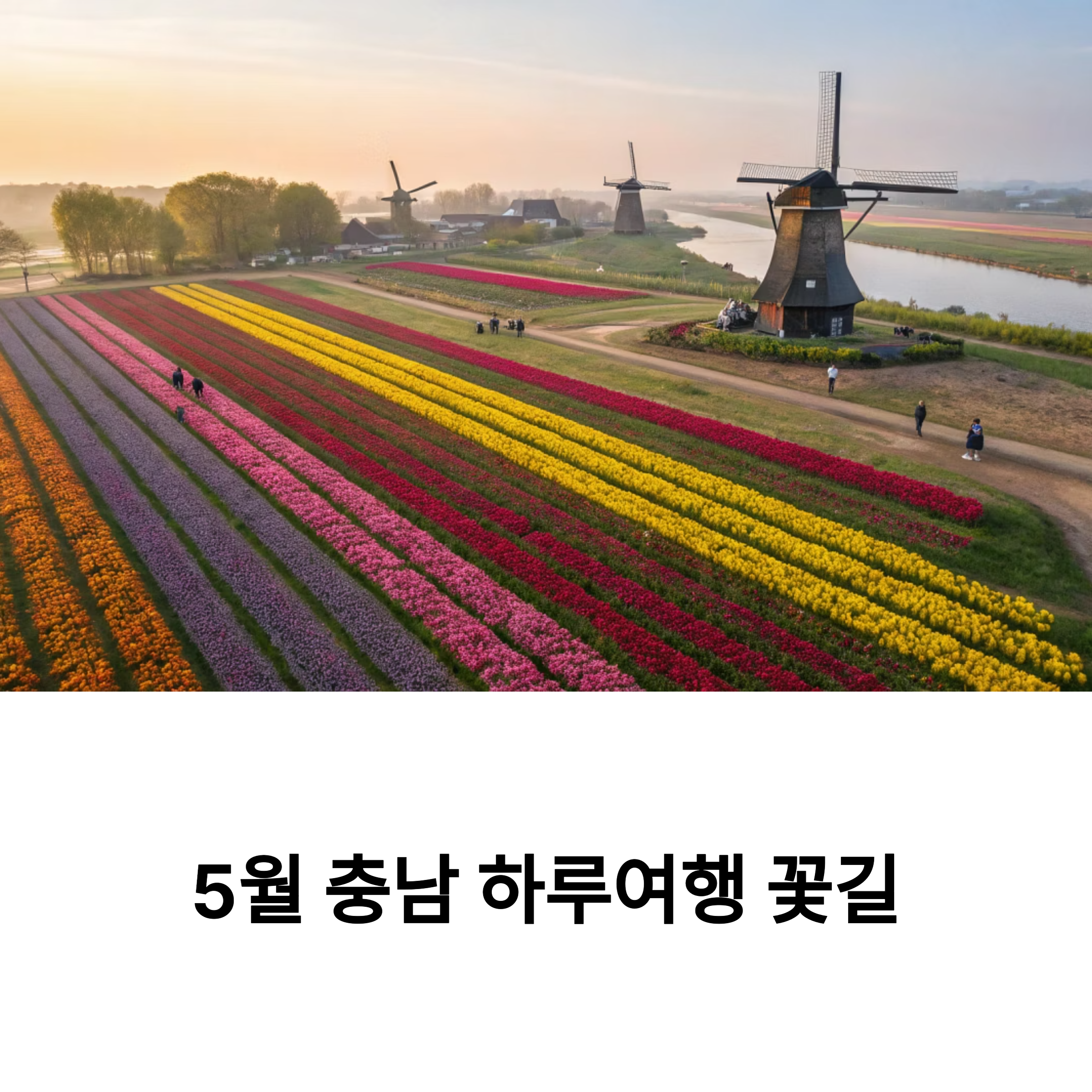 충남 하루 여행 코스, 아산&middot;당진