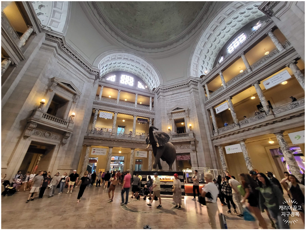 워싱턴 스미스소니언 국립 자연사 박물관