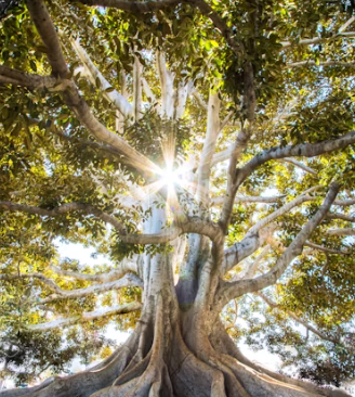 AIA생명보험 보험금 청구방법 청구서