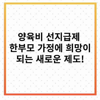 양육비 선지급제
