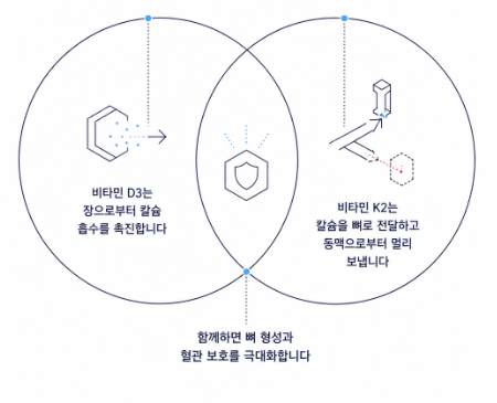 비타민k2 효능