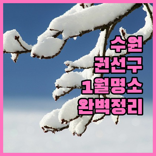 수원 권선구 1월 실내외 나들이 명소..