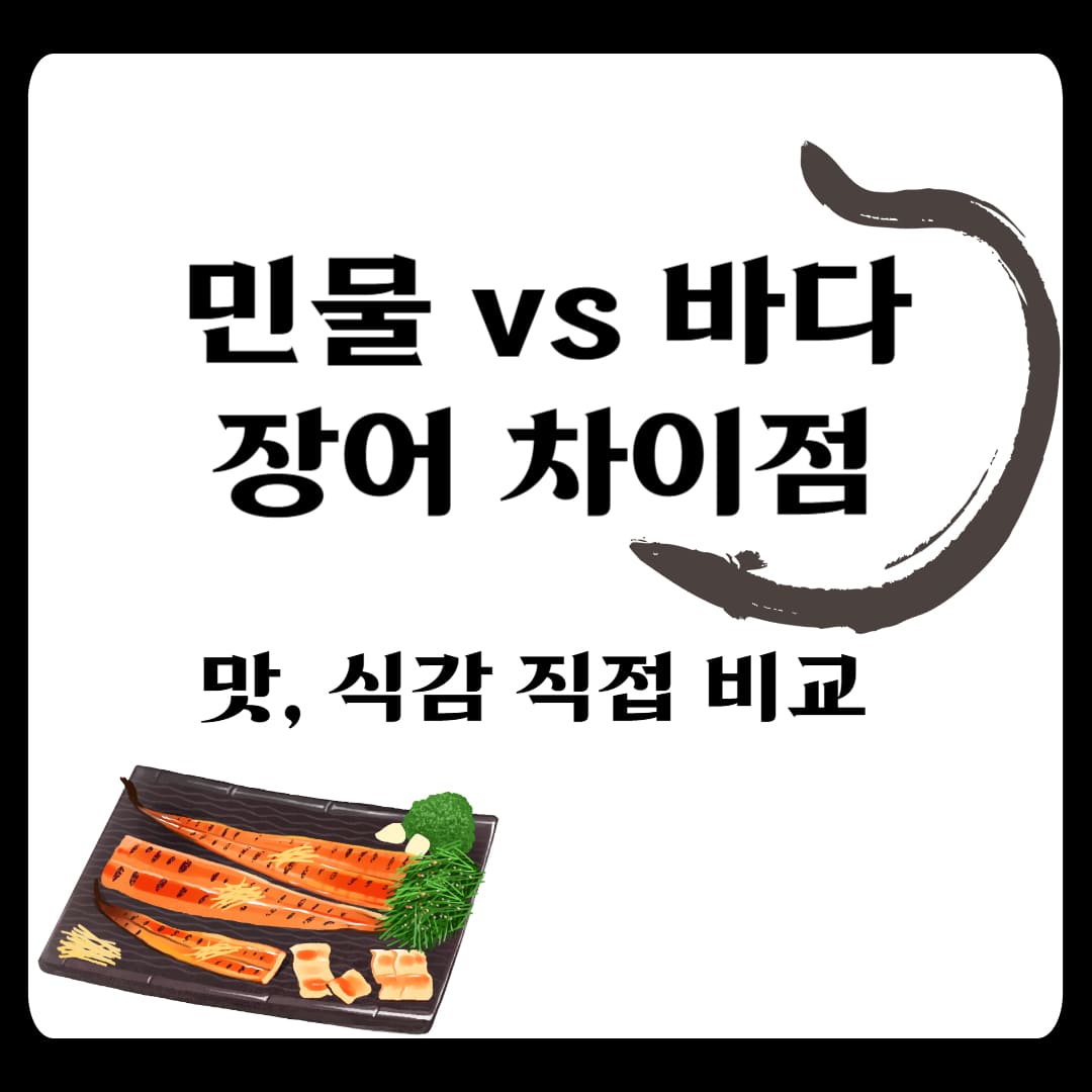 민물장어와 바닷장어 차이점,비교