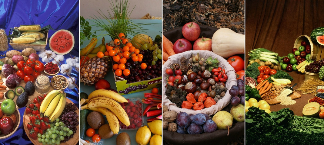 중년을 위한 1주일 내장지방 감량 식단 플래너 – 뱃살 걱정, 이제 그만!