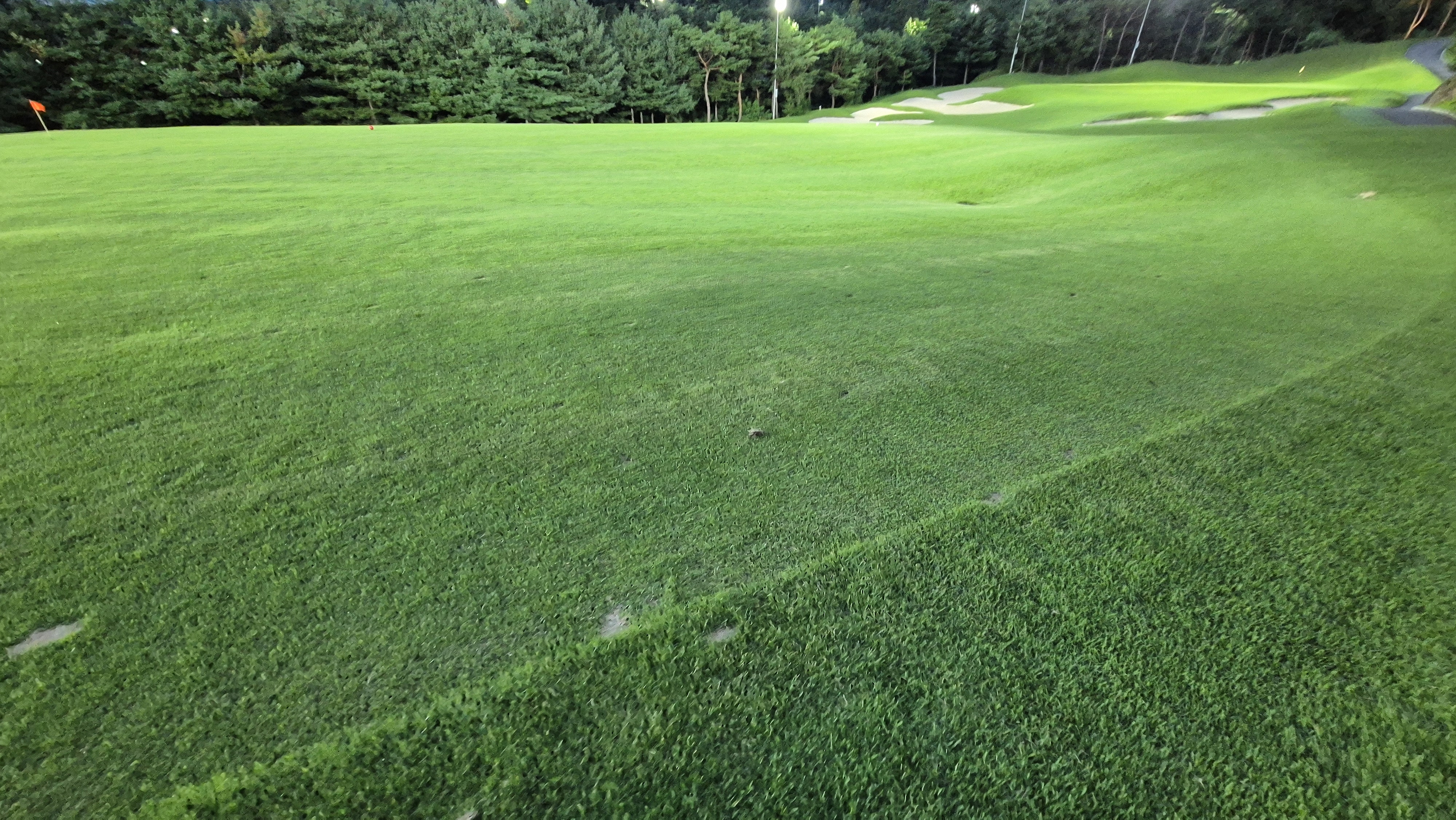 대영힐스cc 청-력 코스 라운드 후기