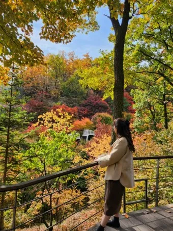 화담숲 예약하기 예약 방법 입장료 모노레일_18