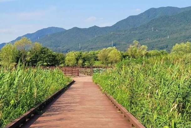 하남 가볼만한곳 베스트 10