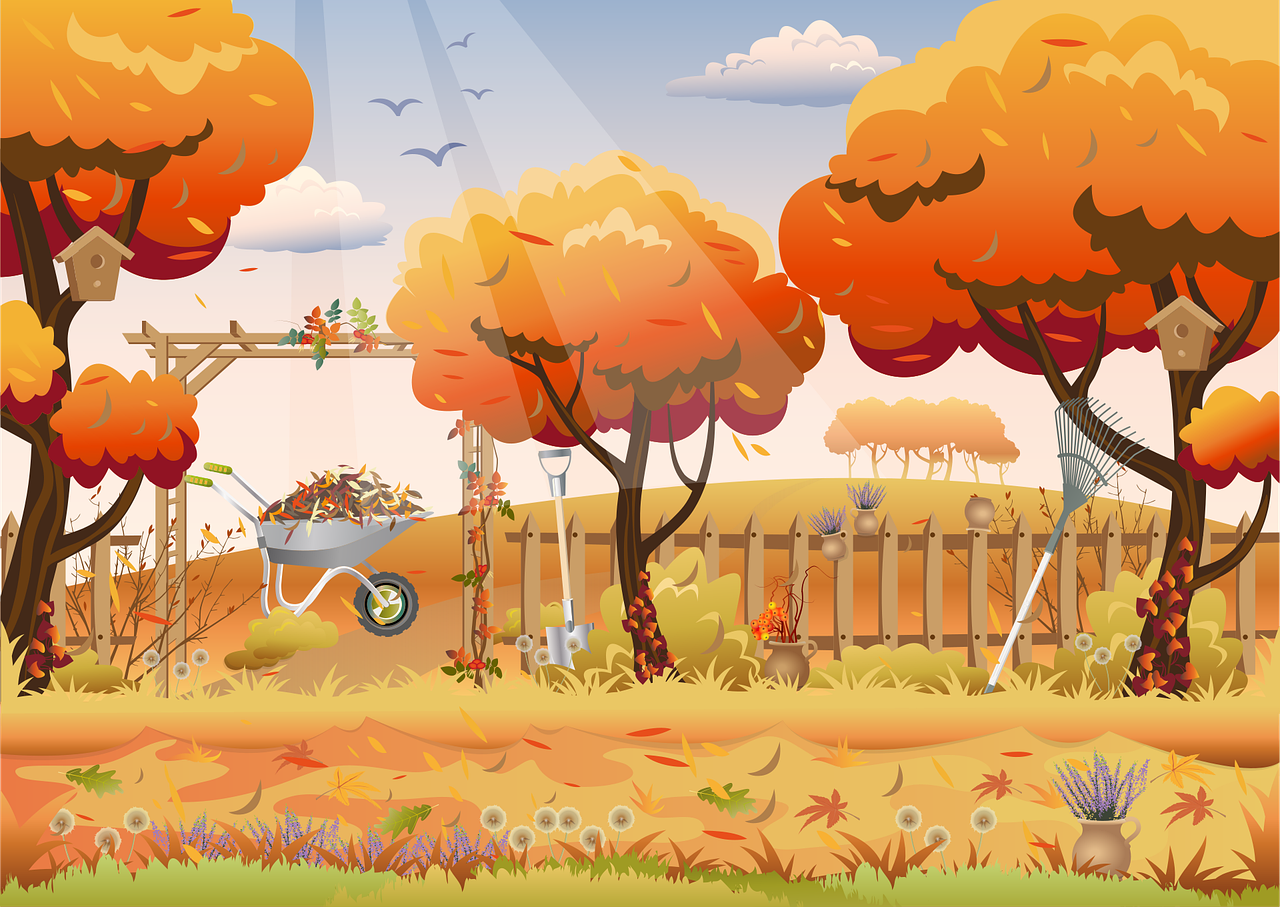 식물 선택법 관련 사진