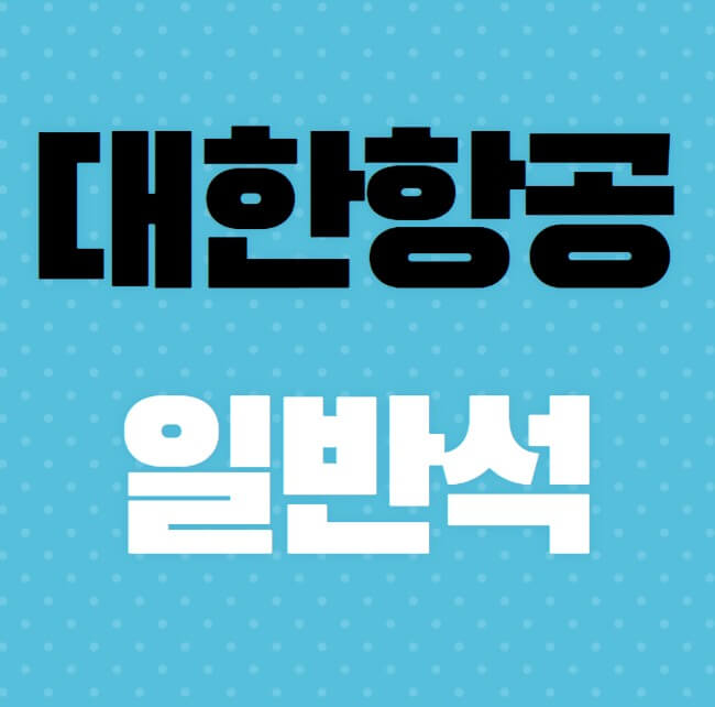 대한항공-일반석