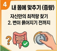 비타민 c 메가도스