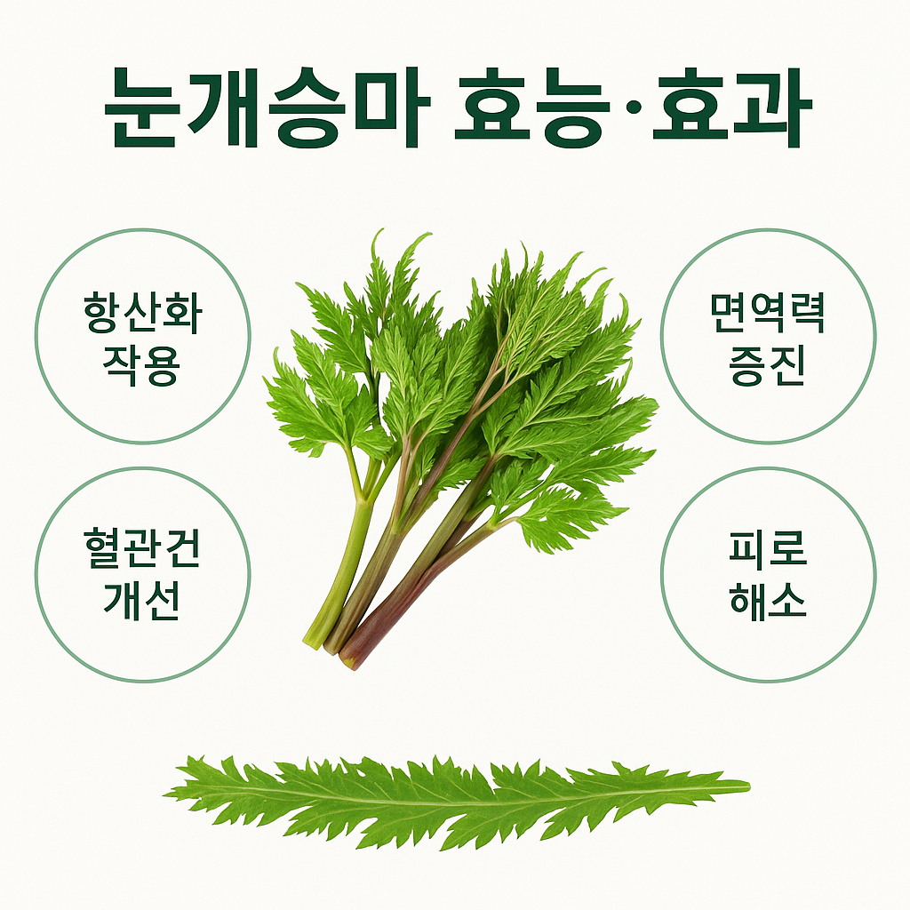 &quot;싱싱한 눈개승마를 중심으로 항산화 작용, 혈관 건강 개선, 면역력 증진, 피로 해소 효능을 한눈에 보여주는 깔끔한 건강 인포그래픽 이미지&quot;
