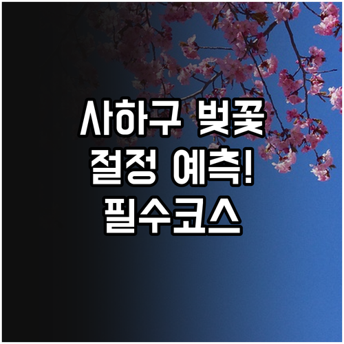 2026년 사하구 벚꽃 절정 예측 및..