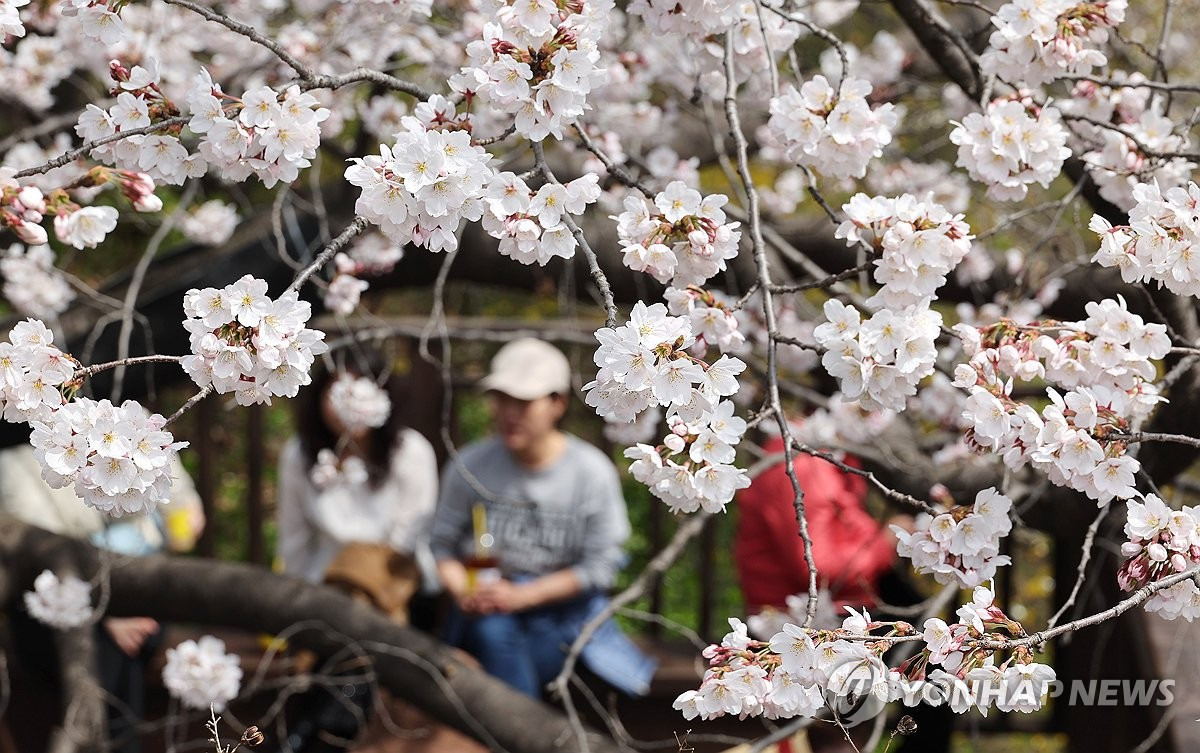 2025년 봄, 전국 온천축제 총정리 (사진 : 연합뉴스)
