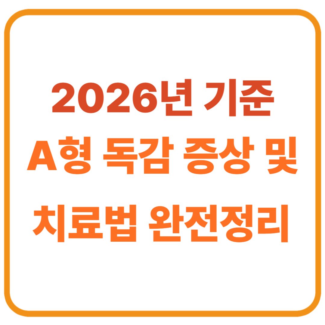A형 독감 증상 및 치료법 완전정리 (2026년 기준)