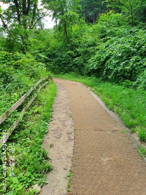 춘천 해피초원목장 풍경