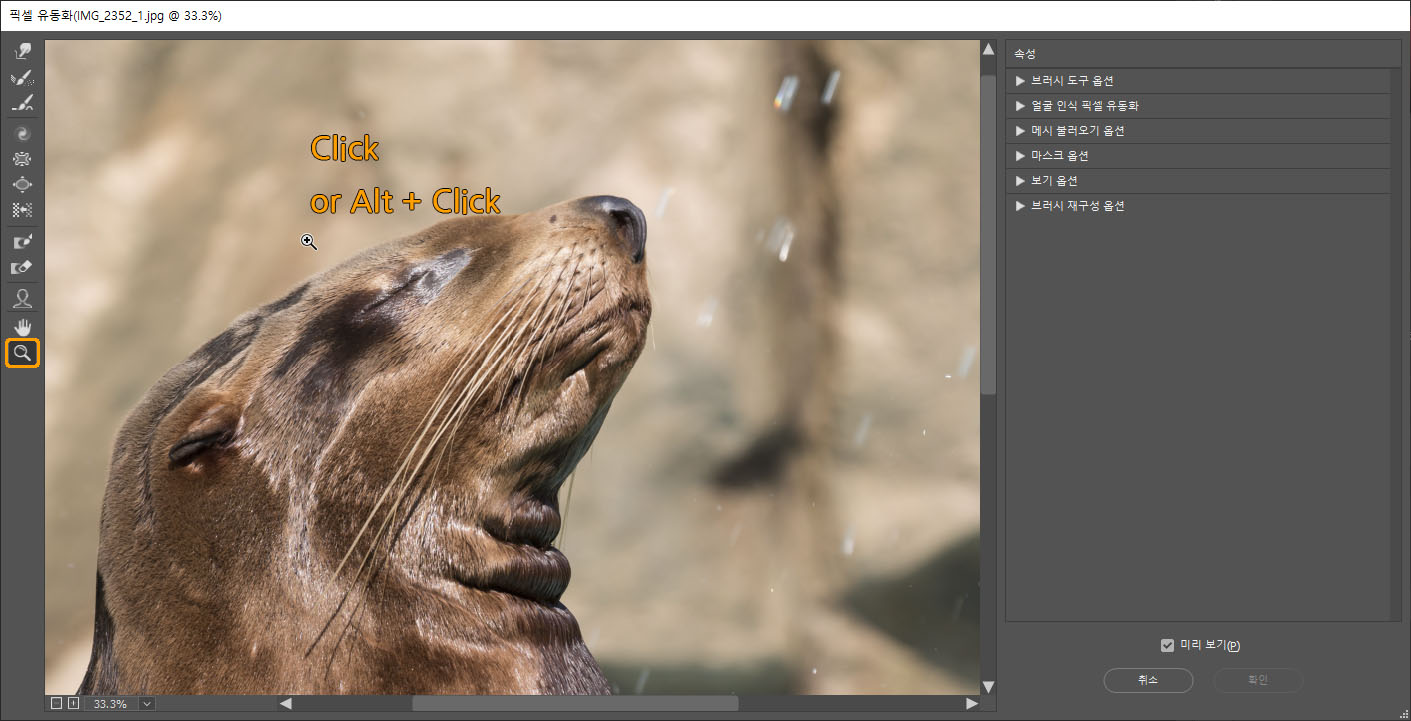 돋보기 도구 사용 예시