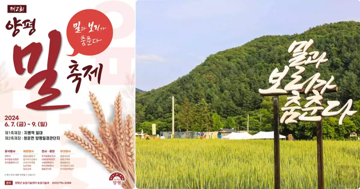 6월축제-양평 밀 축제