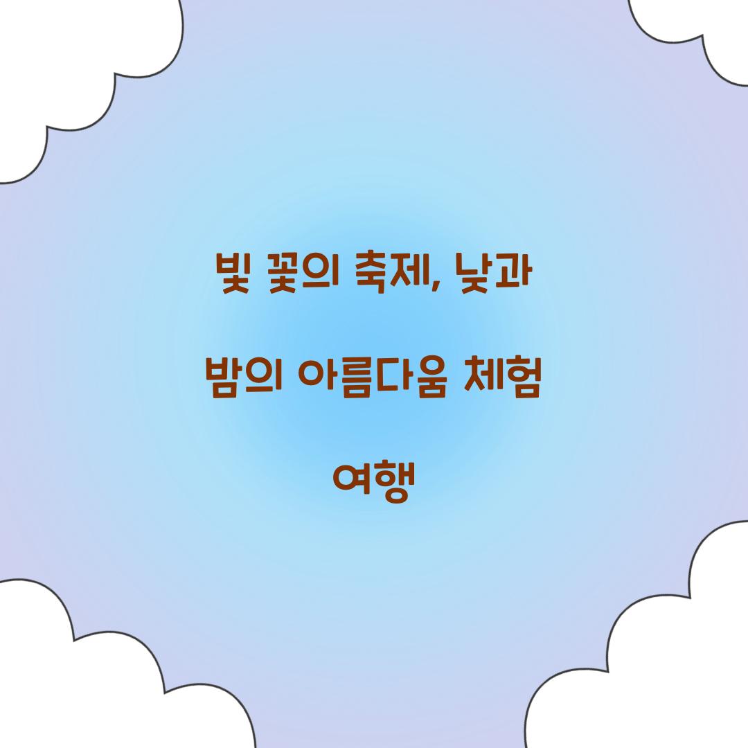 빛 꽃의 축제