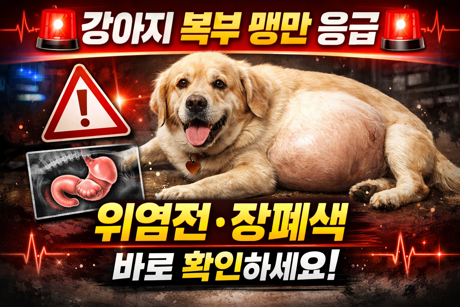 강아지 복부 팽만